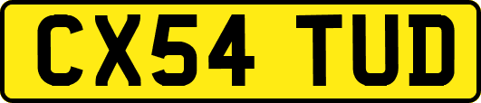 CX54TUD