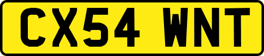 CX54WNT