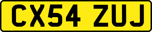 CX54ZUJ