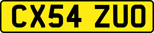 CX54ZUO