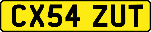 CX54ZUT