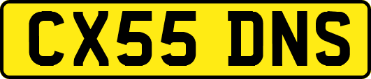 CX55DNS