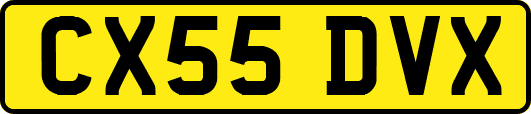 CX55DVX