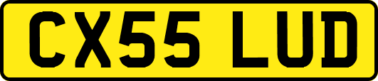 CX55LUD
