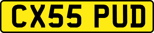CX55PUD