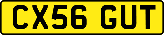 CX56GUT
