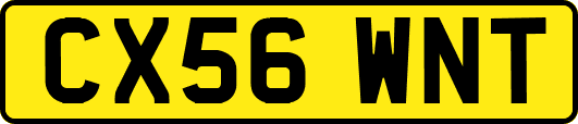 CX56WNT