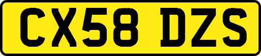 CX58DZS
