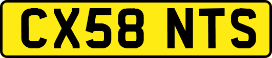 CX58NTS