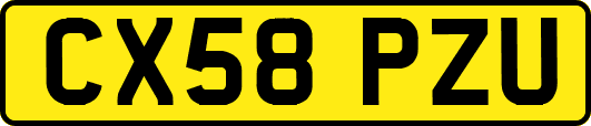 CX58PZU