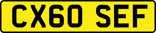 CX60SEF