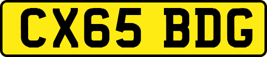 CX65BDG