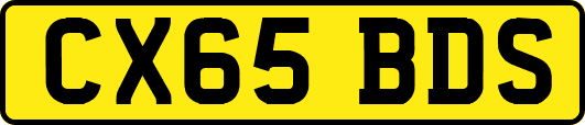 CX65BDS