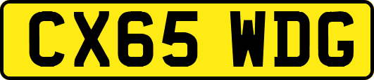 CX65WDG