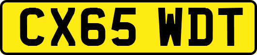 CX65WDT