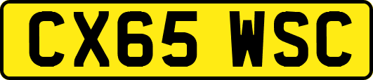 CX65WSC