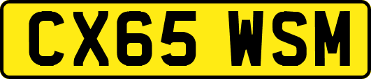 CX65WSM