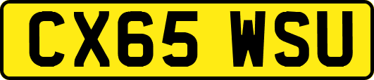 CX65WSU