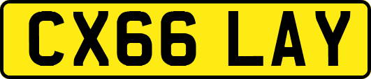 CX66LAY