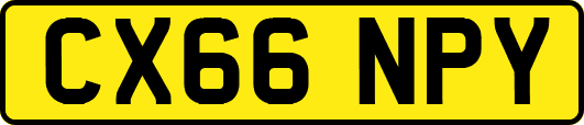 CX66NPY