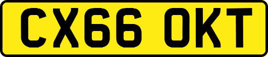 CX66OKT