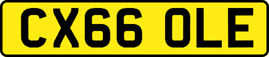 CX66OLE
