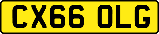 CX66OLG