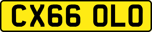 CX66OLO