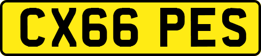 CX66PES