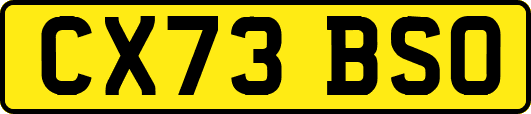 CX73BSO