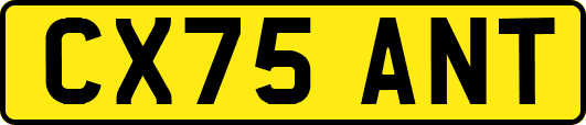 CX75ANT