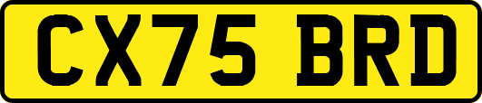 CX75BRD