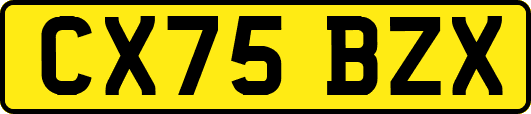 CX75BZX