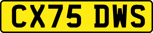 CX75DWS
