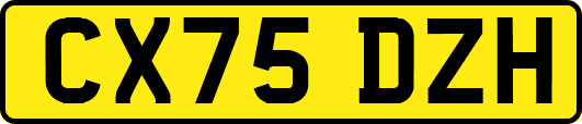 CX75DZH