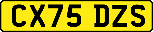 CX75DZS