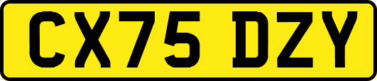 CX75DZY