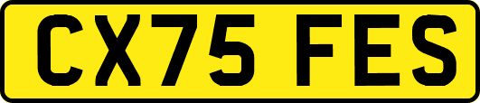 CX75FES
