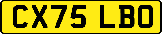 CX75LBO