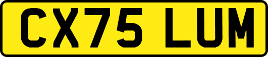 CX75LUM