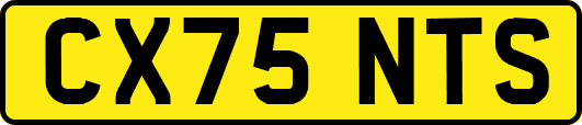 CX75NTS