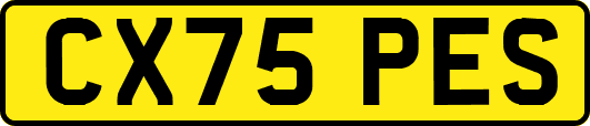 CX75PES