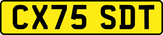 CX75SDT