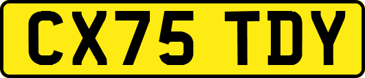 CX75TDY