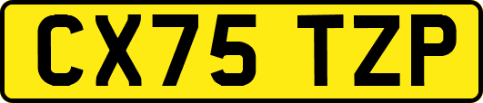 CX75TZP