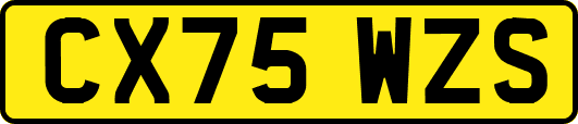 CX75WZS