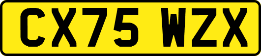 CX75WZX