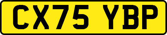 CX75YBP