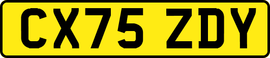 CX75ZDY