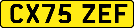 CX75ZEF